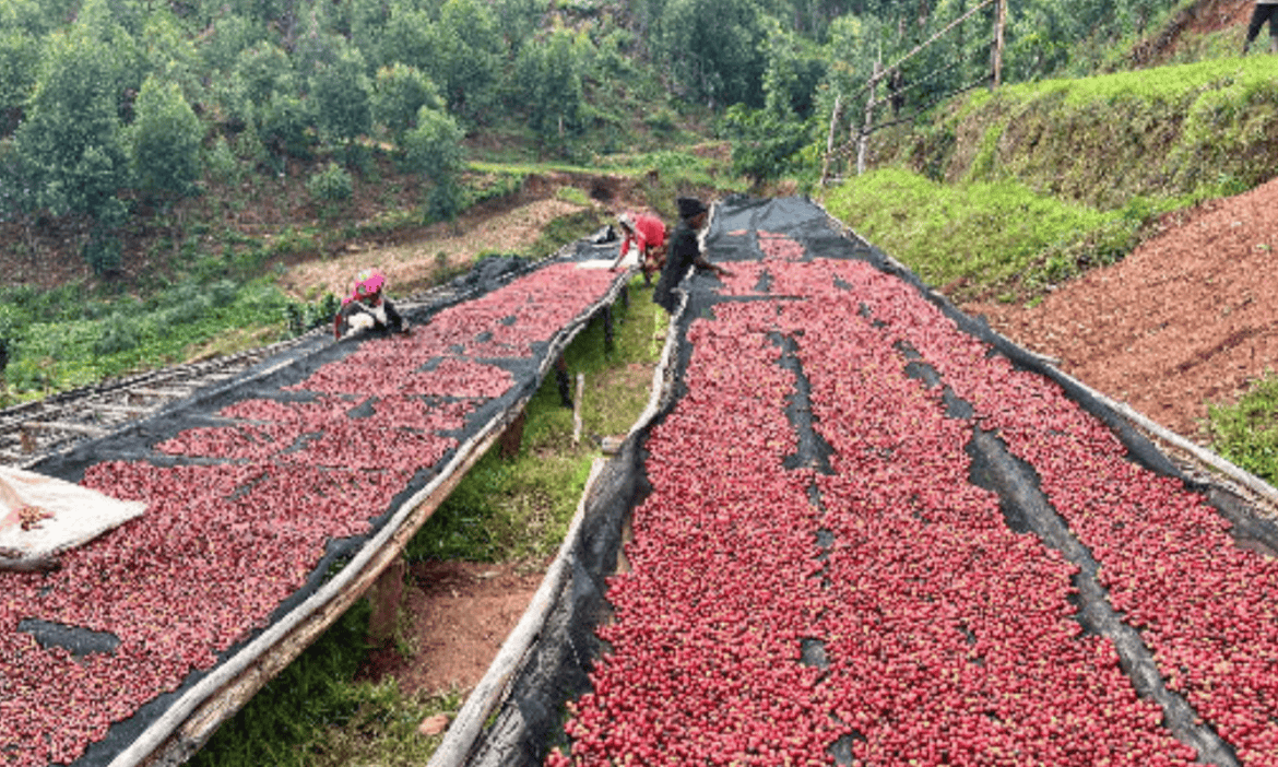 Rwanda Inzovu