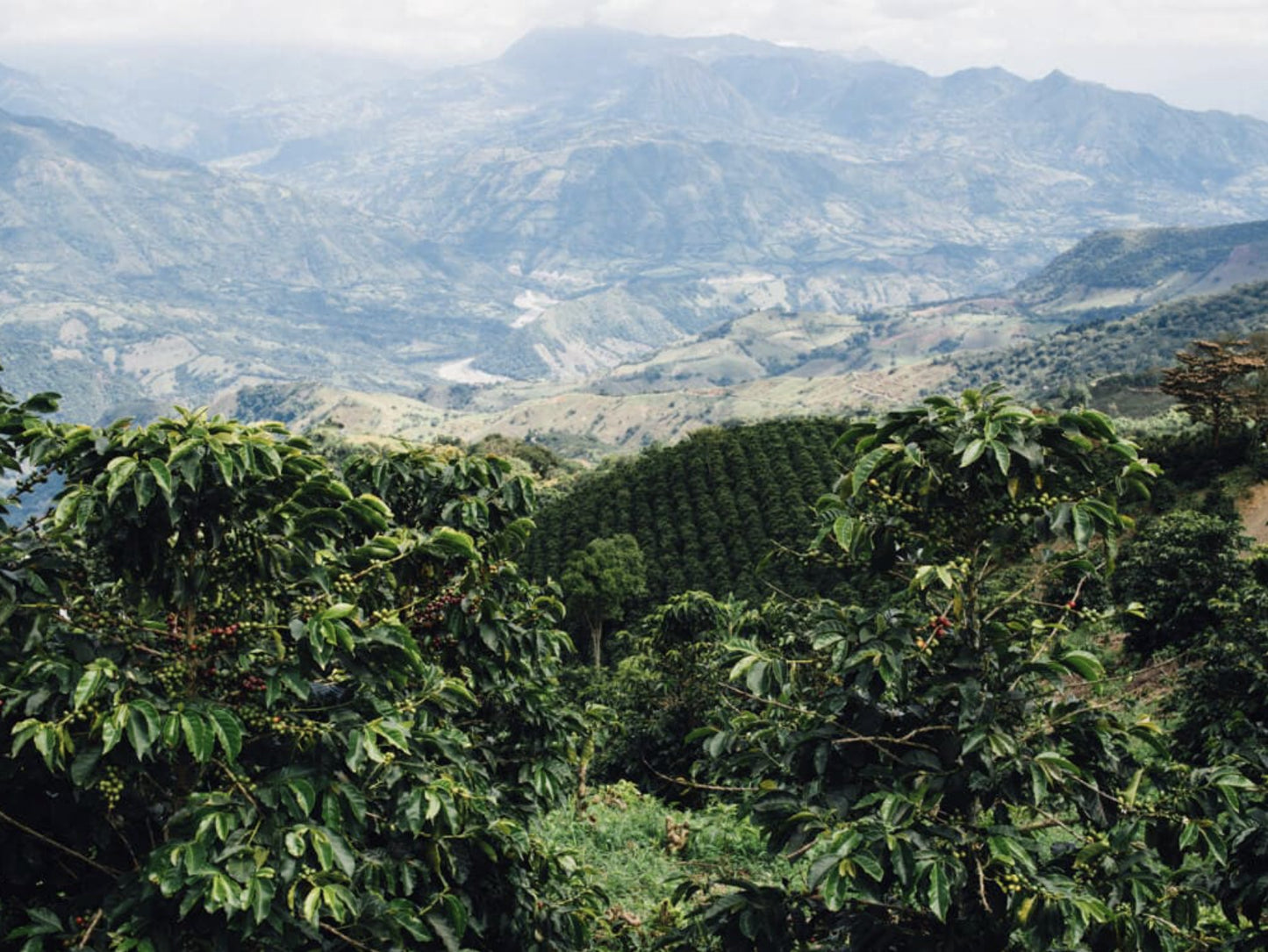 Colombia Medellin